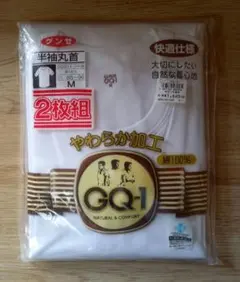 GUNZE 半袖U首Tシャツ 2枚組