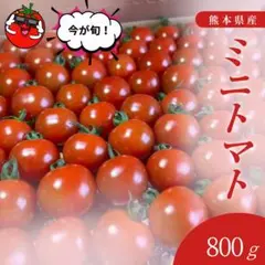 【ご予約・問い合わせ】熊本県産　ミニトマト　千果 熊本県玉名市産 蘇鉄園芸のミニトマト「千果」 約2kg | 無印良品