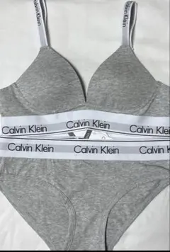 カルバンクライン上下セット ブラ×ショーツ(ロゴ付ストラップ）Mグレー