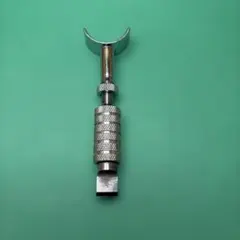 Item thumbnail for item 09bf6ce4-42b0-4935-b08d-63d7a5d91c82