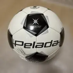 【モルテン】ペレーダ 5000 5号　芝用　美品　サッカーボール　公式球のサムネイル