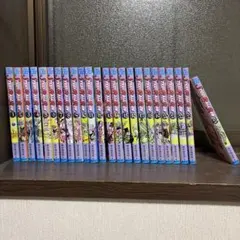 ジョジョの奇妙な冒険スティール・ボール・ラン 全巻セット