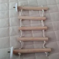 Item thumbnail for item 73b482e6-1865-4b0f-b5e0-45a6e392e7a1