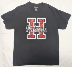 Gildan ダークグレー キラキラ Tシャツ H Falcons Lのサムネイル