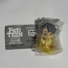 SEVENTEEN ウォヌ フィギュア セット PetiTEEN すわらせ隊 ウォヌ ヒポチ セブチ ガチャ SEVENTEEN