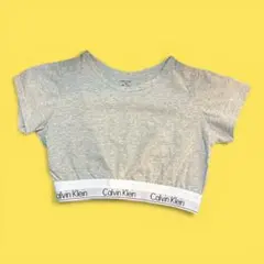 Calvin Klein グレー ショート丈　半袖Tシャツ　Mサイズ　グレーのサムネイル