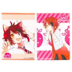 新品★すとぷり【莉犬】アルバム★アニメイト★特典★ブロマイド★2点セット