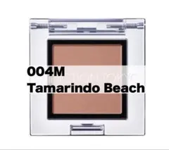 アディクション アイシャドウ 004M Tamarindo Beach ②