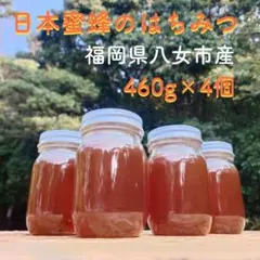 日本蜜蜂のはちみつ　純粋　ハチミツ　蜂蜜　百花蜜　ニホンミツバチ　国産　非加熱