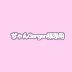 ぢゃんGorgon様専用ページ