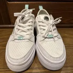 Item thumbnail for item 006f9518-2cb5-491d-a7b5-5a3073dbf14c