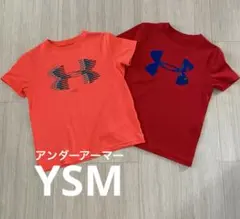 Under Armour Tシャツ 2枚セット
