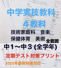 中学　実技教科　全教科4教科6科目　定期テスト対策プリントのサムネイル