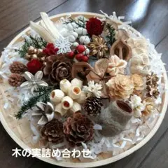 ★　木の実詰め合わせ（ １セット限り )　★
