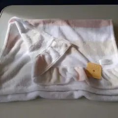 Item thumbnail for item 347d3e28-f21f-44bd-9da9-70c94471a8cf