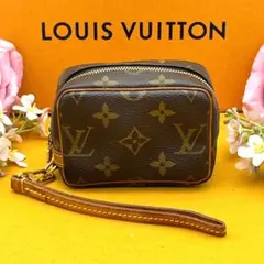 ✨希少✨ ルイヴィトン　モノグラム　トゥルースワピティ　ミニポーチ