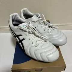 アシックス　サッカースパイク DS LIGHT ホワイト/ブラック 26 cm