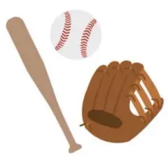 ✴︎miko✴︎さま専用ページ 野球グローブ・バット・ボールセット