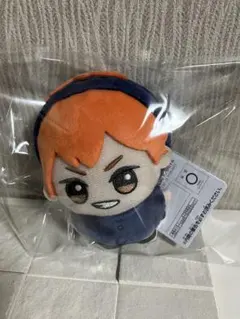 ハイキュー!! ちびぐるみ アニマルポンチョ vol.1 日向翔陽