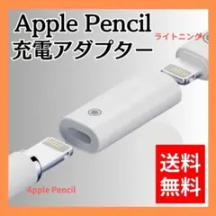 Apple Pencil 第2世代 第1世代 充電 アダプター USB 変換