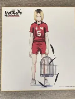 ハイキュー ゴミ捨て場の決戦 I.Gストア 特典 色紙　研磨