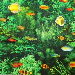 たこす様 リクエスト 2点 まとめ商品