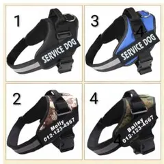 Item thumbnail for item 2e555e13-c2d7-4ecb-b11f-1a99be2215f2