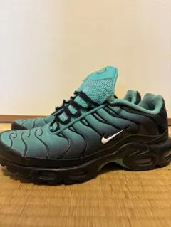 ナイキAIR MAX PLUS サイズ26cmグリーン&ブルー【新品未使用品】 2025年最新】NIKE AIR max plus light retroの人気アイテム