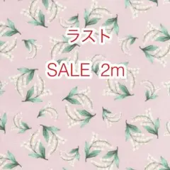 ラスト SALE 2m スズラン ピンク オックス