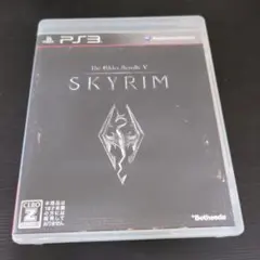 ザ・エルダー・スクロール5:スカイリム
