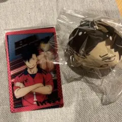 Item thumbnail for item 9825c563-1b80-4035-bffa-2e065ce62881