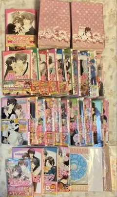 2025年最新】世界一初恋ドラマcdの人気アイテム - メルカリ