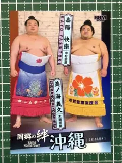 2026年最新】初芽 戦国大戦の人気アイテム - メルカリ