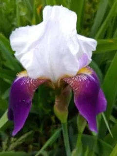 あや様 リクエスト 3点 まとめ商品