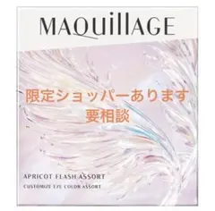 資生堂 【限定品】マキアージュ カスタマイズアイカラー アソート EX04のサムネイル