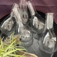 ナスフラスコ　電球型　5個　無地