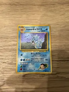 2026年最新】サカキのギャラドス psa10の人気アイテム - メルカリ