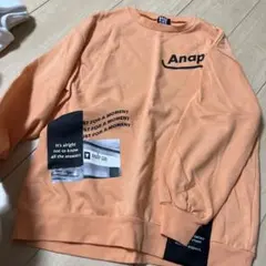 アナップトレーナーM