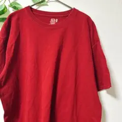 フルーツオブザルーム 無地 Tシャツ クルーネック 半袖 L 赤 綿 普段着