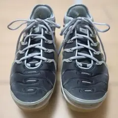 ナイキ エア ヴェイパーマックス プラス グレー 26cm【実用品・洗浄済】