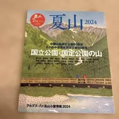 Item thumbnail for item ab995b0c-2bbb-4a47-ba74-4d72d98ddd8d