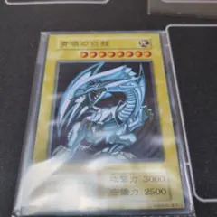 2026年最新】青眼の白龍 ステンレス 未開封の人気アイテム - メルカリ