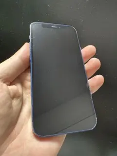 ふ*ん様 iPhone 12 mini 256GB ブルー