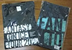 Item thumbnail for item 768f4110-5a55-4cfb-9975-4eece6810369