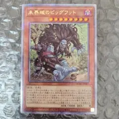 未界域のビッグフット 25QC　美品