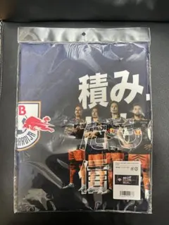 ミラクリスト様 リクエスト 2点 まとめ商品