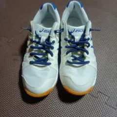 asics スポーツシューズ ホワイト ブルー