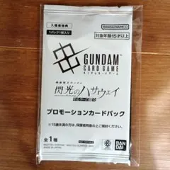 機動戦士ガンダム閃光のハサウェイ　映画　特典