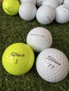 Titleist PRO V1ロストボール 15球セット 0270