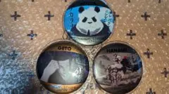 廻戦／ユニバ、USJ／缶バッジ／パンダ&花御&夏油傑